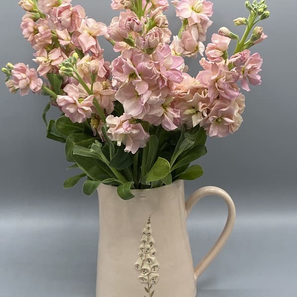 Pink Hogben Jug