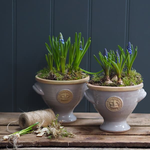 These beautiful mini footed bowls from  Kew Botanical 